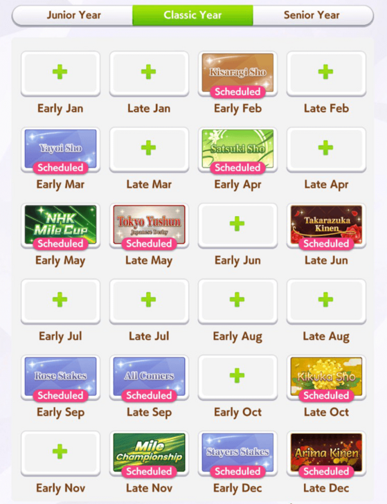 Turf Mile Long Race Classic