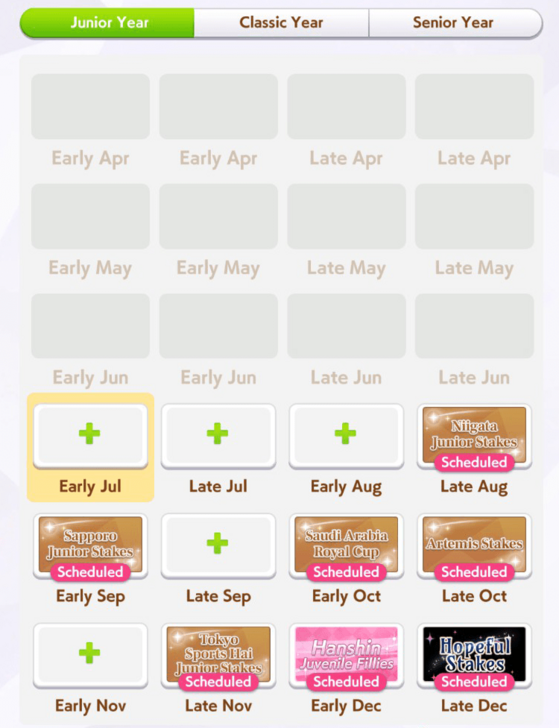 Turf Mile Medium Race Junior