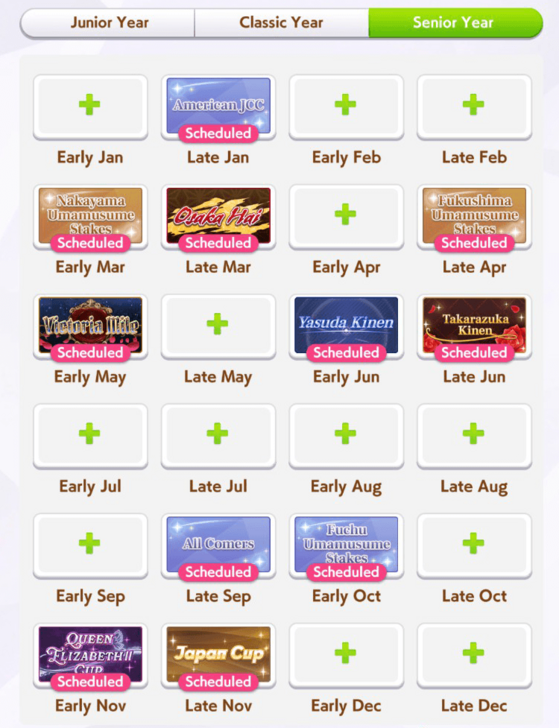 Turf Mile Medium Race Senior