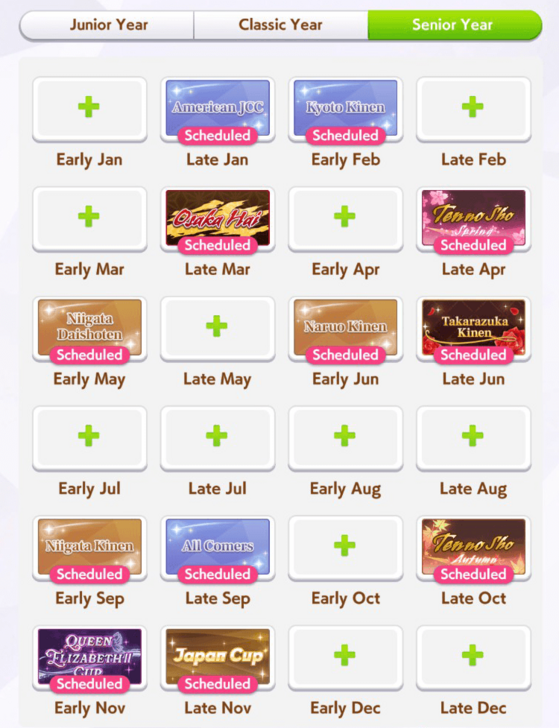 Turf Medium Long Race Senior