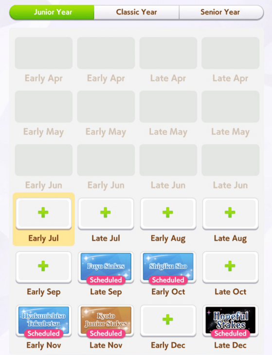 Turf Medium Long Race Junior