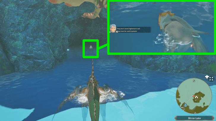 Interact with the Regalfin