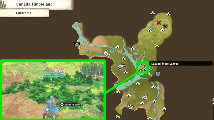 Leaves! More Leaves! Map Location