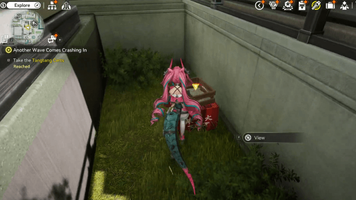 Take the Tangtang Certs