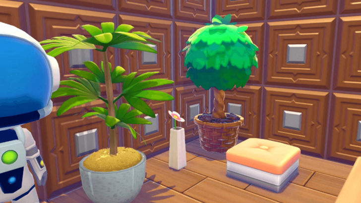 Used Potted Plants as Decorations