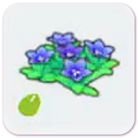 Mountain-Flower Seeds