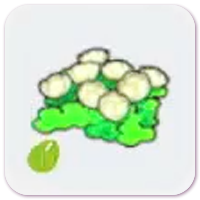 Skyland-Flower Seeds