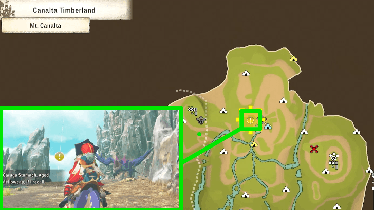 Find the Yian Garuga