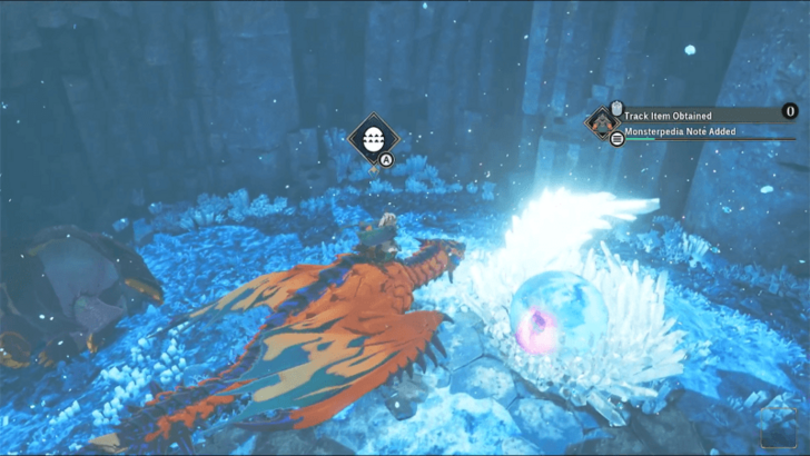 Endangered Monstie Egg