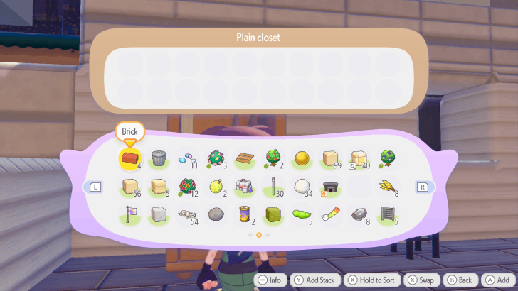 Store Items in Closet