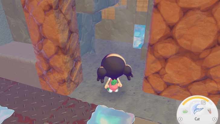 Rawst Seed Overworld Location