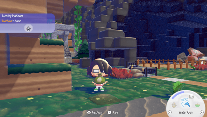 Plant New Berry Trees