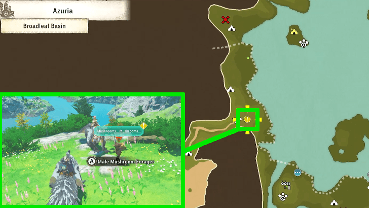 ch 1 - Talk to the mushroom forager