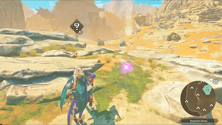 Well-Hydrated Cactus