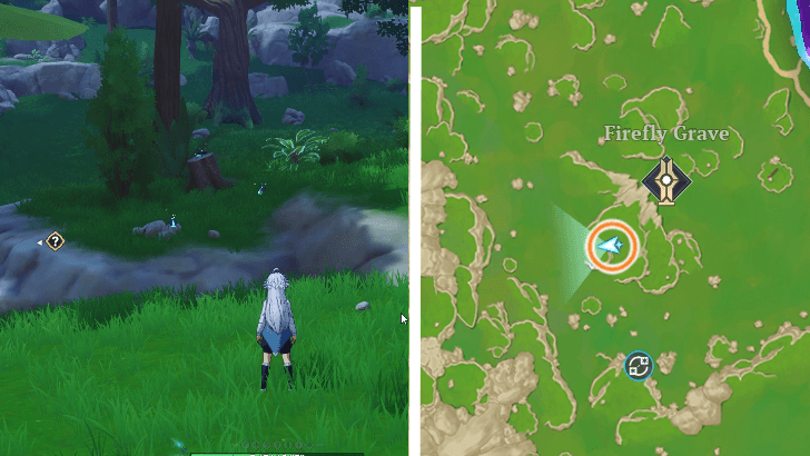 Spirit Firefly 1 location