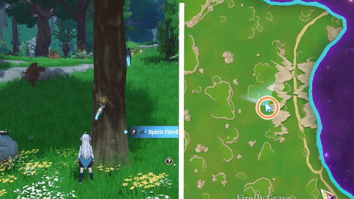 Spirit Firefly 3 location