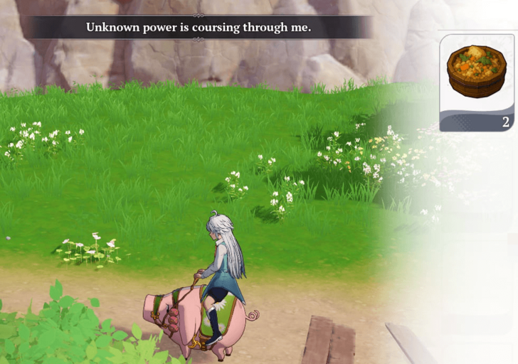 7DSO - Feeding Hawk Scraps