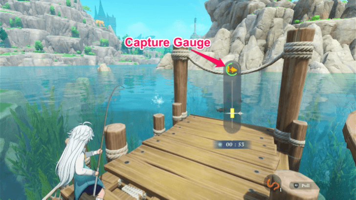 Capture Gauge