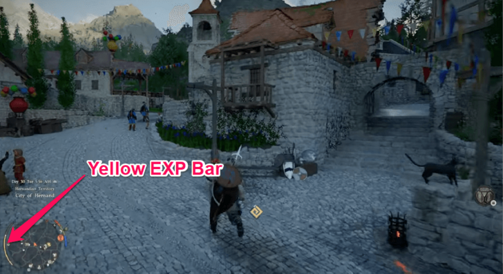 C - Leveling System Explained - Yellow EXP Bar
