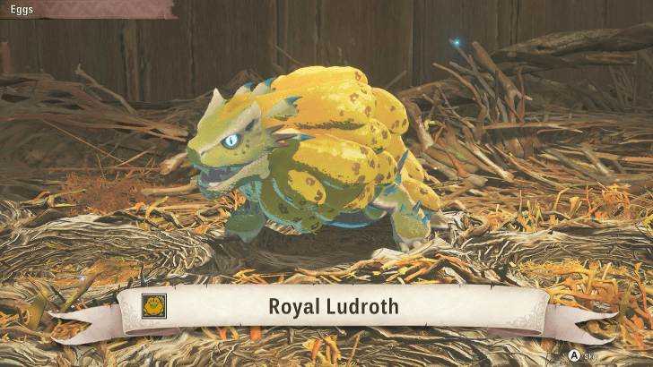 Baby Royal Ludroth