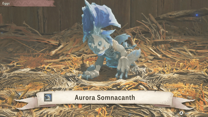 Baby Aurora Somnacanth