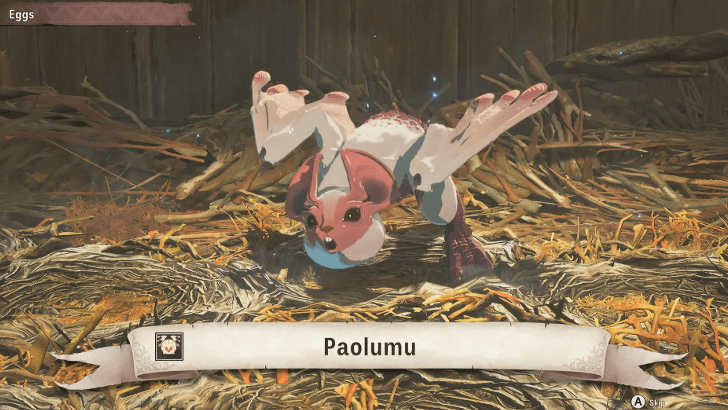 Baby Paolumu