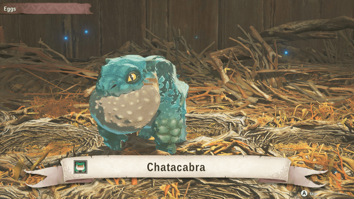 Baby Chatacabra