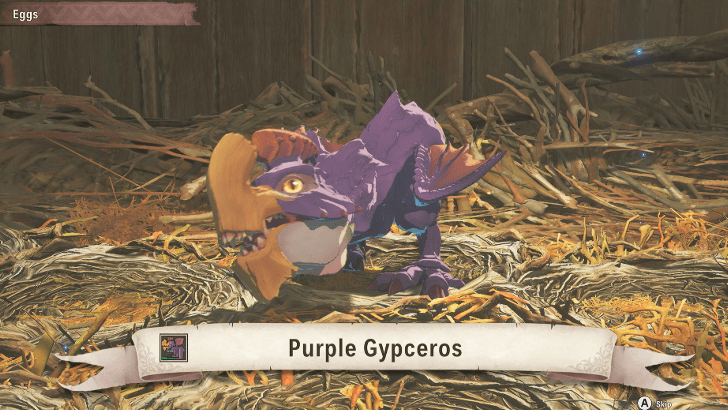 Baby Purple Gypceros