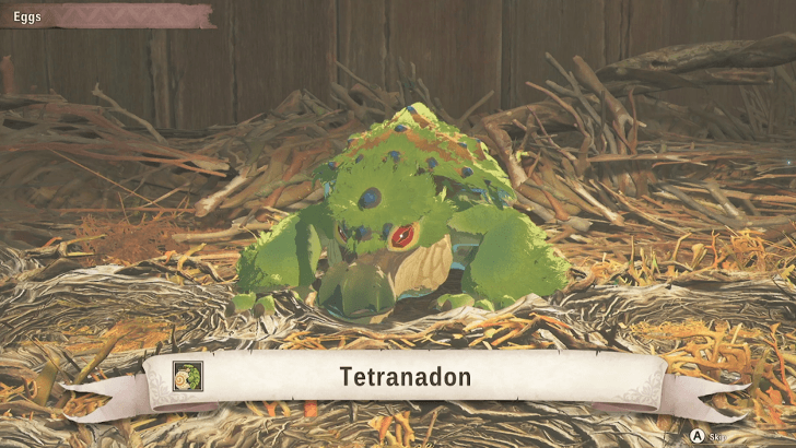 Baby Tetranadon