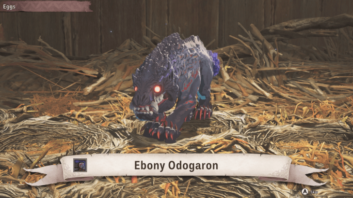 Baby Ebony Odogaron
