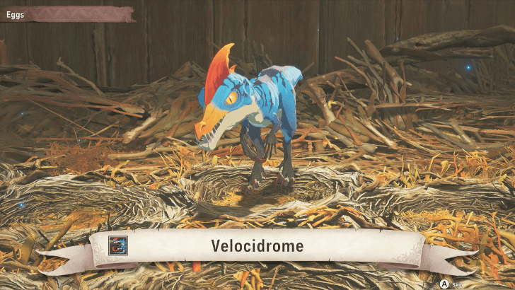Baby Velocidrome