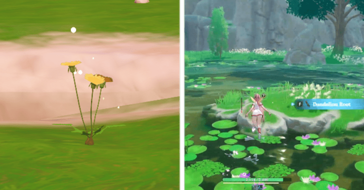 Gather Dandelion Roots