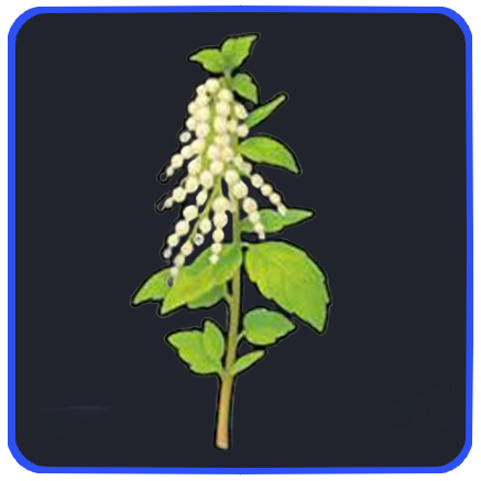 Seven Deadly Sins Origin- Nettle