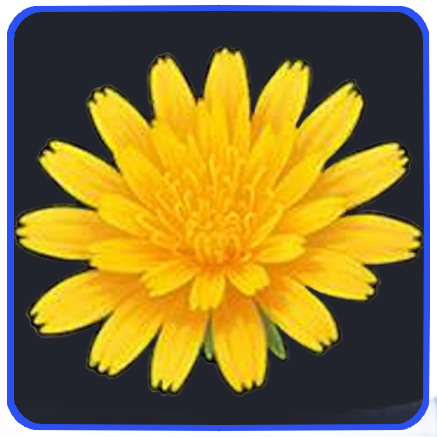 Seven Deadly Sins Origin- Seashore Sowthistle