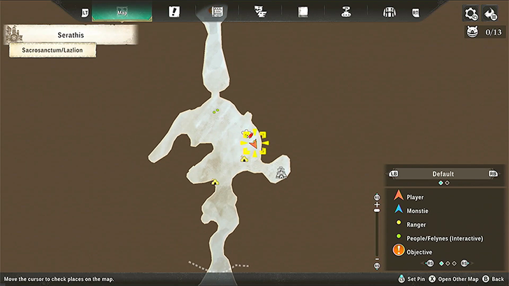 Strange Chunk of Meat