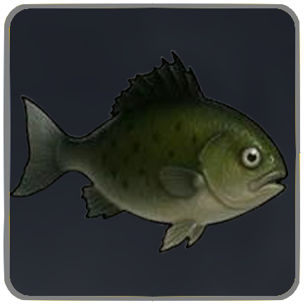 Seven Deadly Sins Origin- Flat Crucian Carp