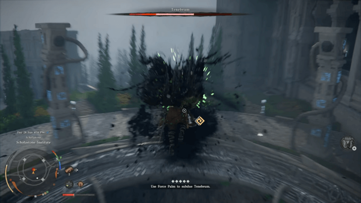 Tenembrum Boss Fight Force Palm