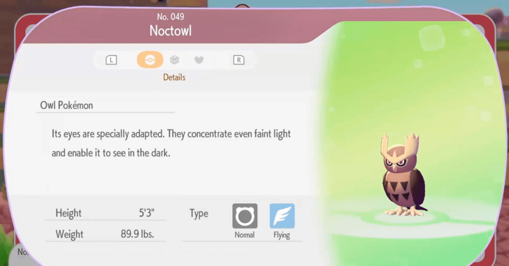 Noctowl