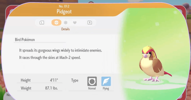 Pidgeot