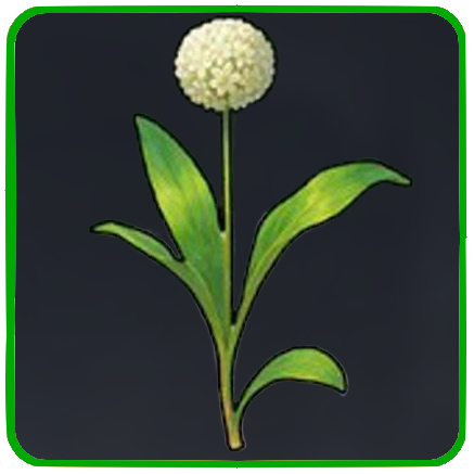 Seven Deadly Sins Origin- Wild Herb