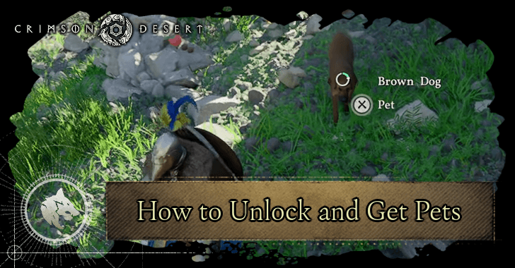How to Unlock and Get Pets