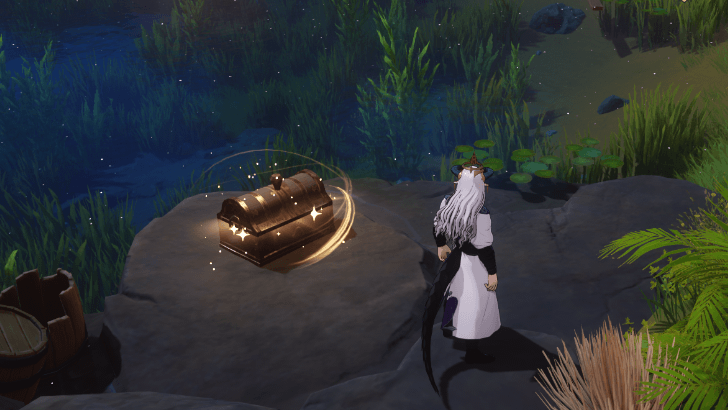 Treasure Chest found in the wild