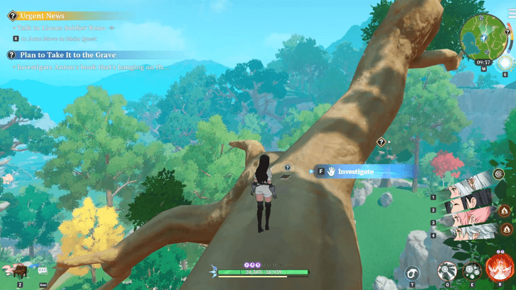 Thick Book - Investigate Anton