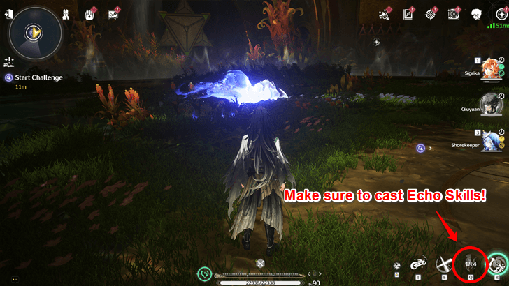 Cast Team Echo Skills