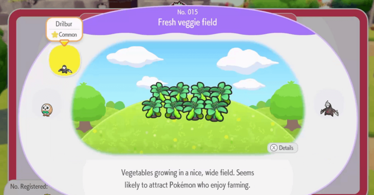Fresh veggie field