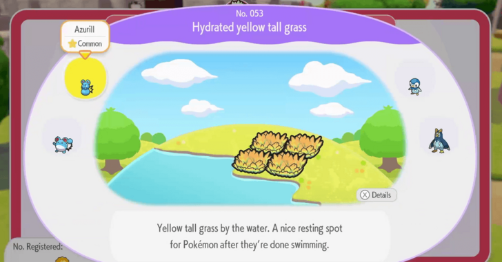 Hydrated yellow tall grass