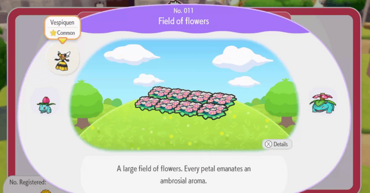 Field of flowers
