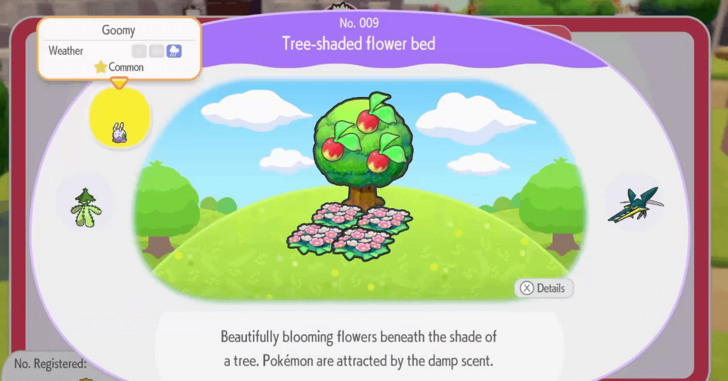 Tree-shaded flower bed