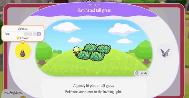 Illuminated tall grass