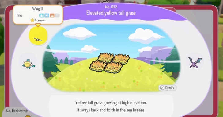 Elevated yellow tall grass